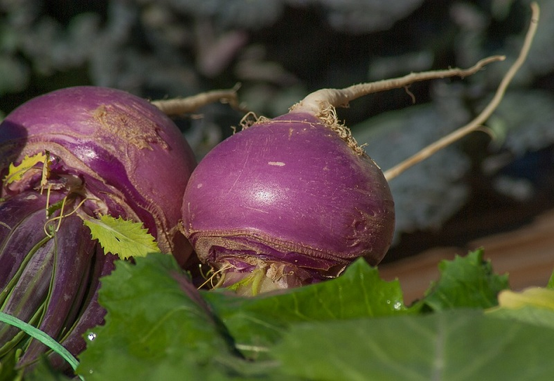 Turnip by power