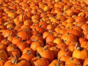 Pumpkin